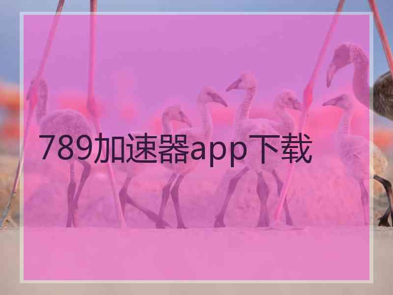 789加速器app下载