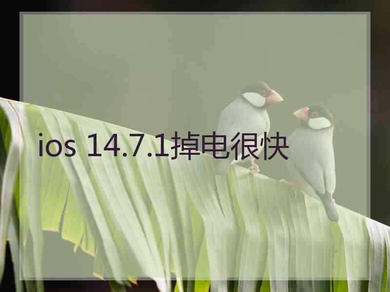 ios 14.7.1掉电很快