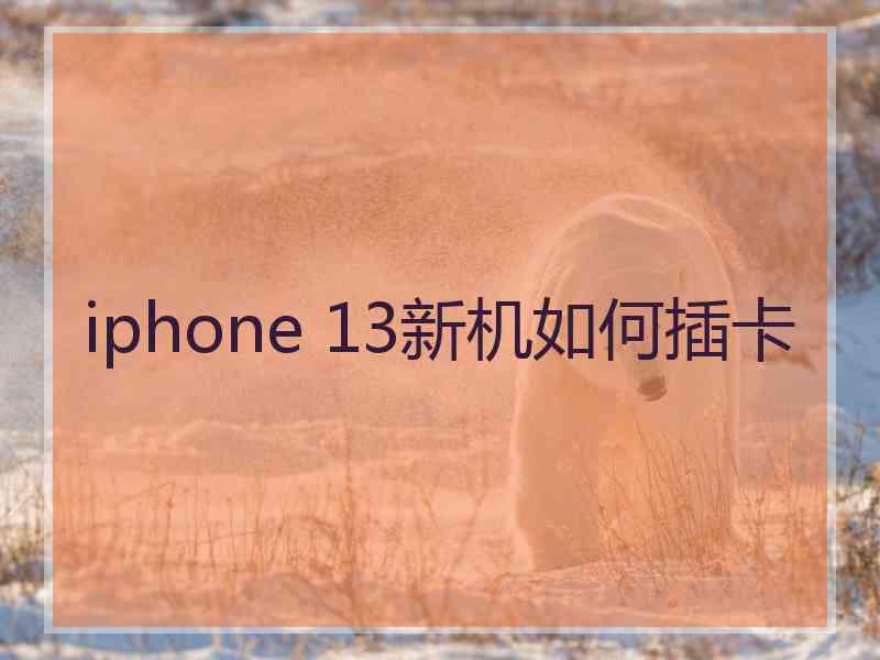 iphone 13新机如何插卡