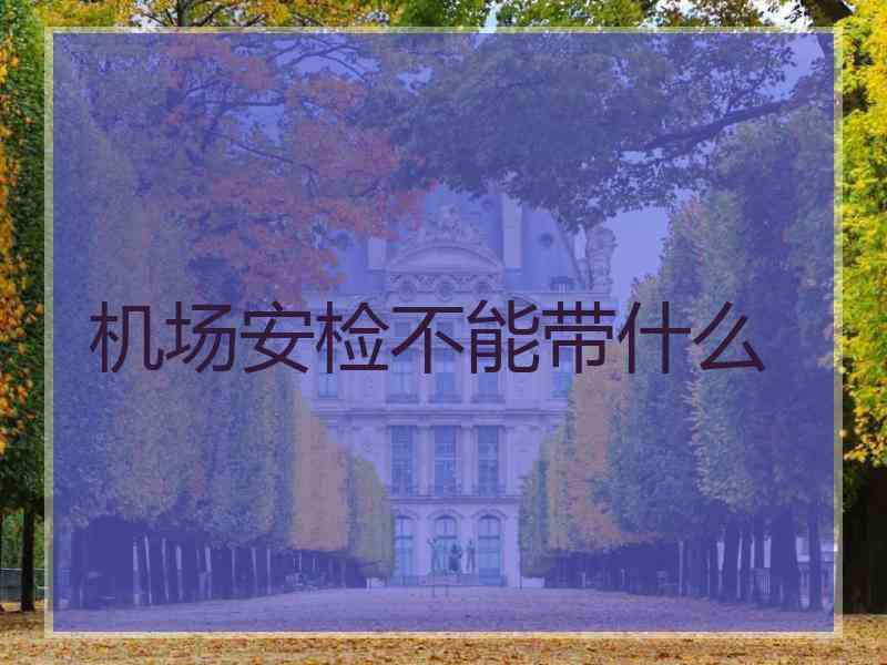 机场安检不能带什么