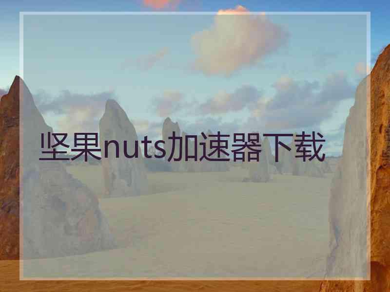 坚果nuts加速器下载