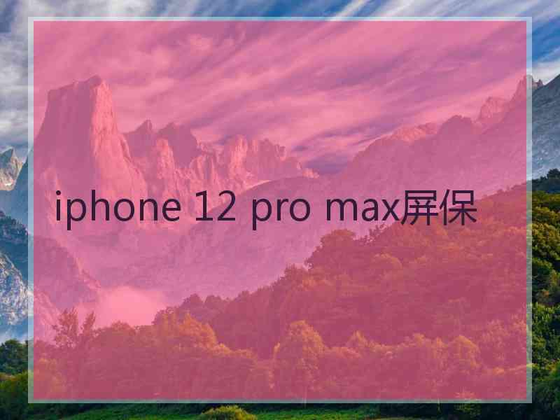 iphone 12 pro max屏保