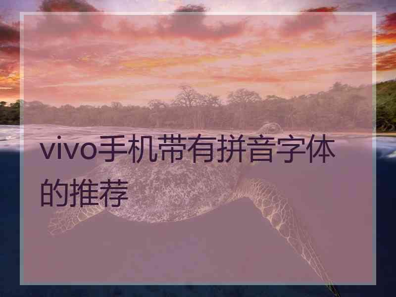 vivo手机带有拼音字体的推荐