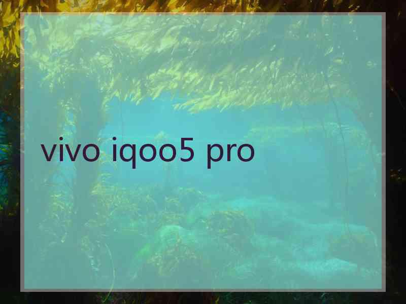 vivo iqoo5 pro