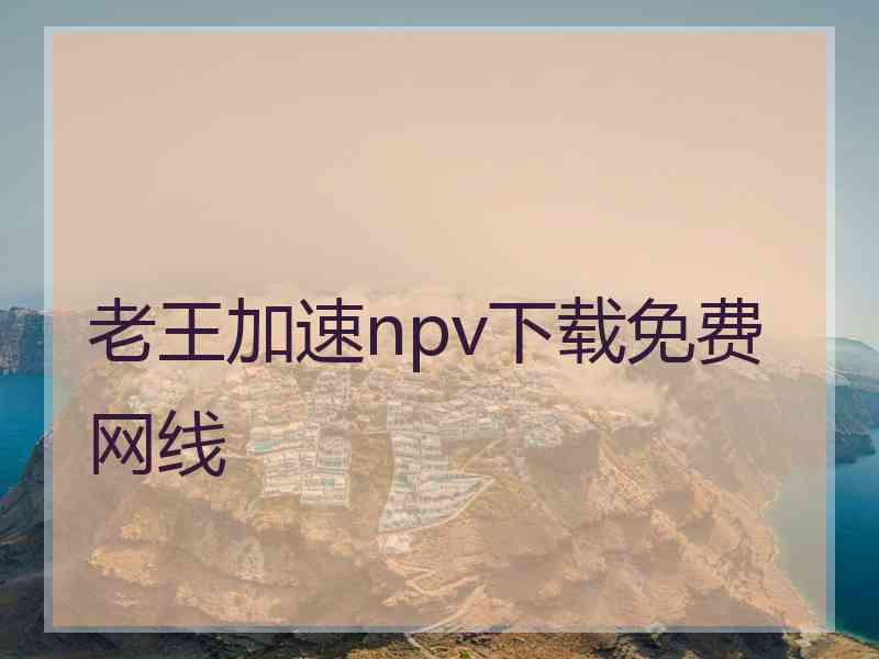 老王加速npv下载免费网线