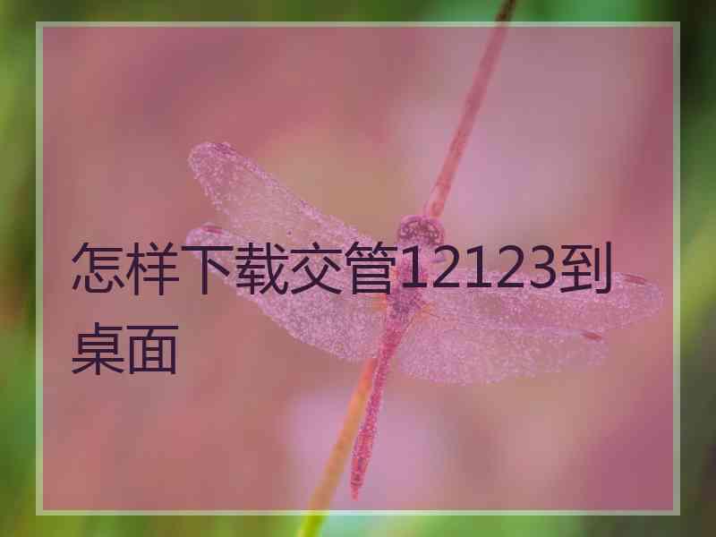 怎样下载交管12123到桌面