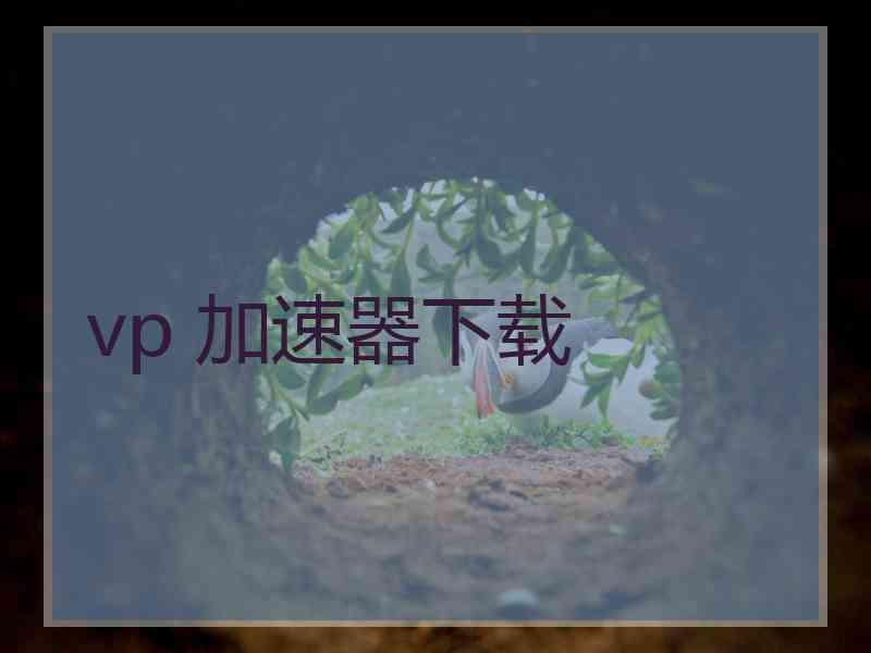 vp 加速器下载