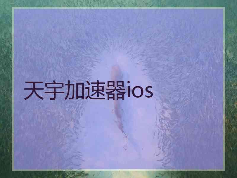 天宇加速器ios