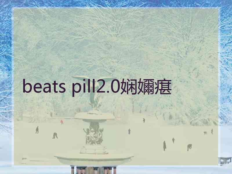 beats pill2.0娴嬭瘎