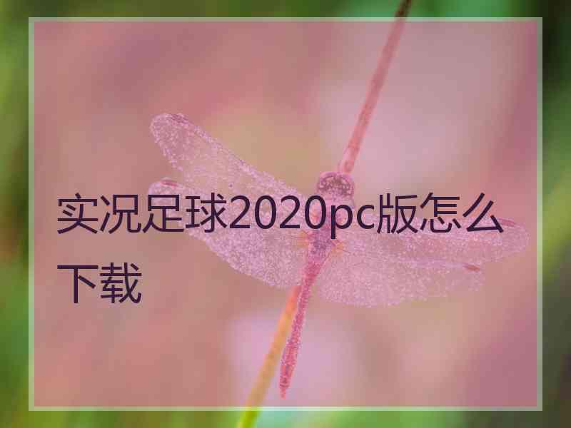 实况足球2020pc版怎么下载