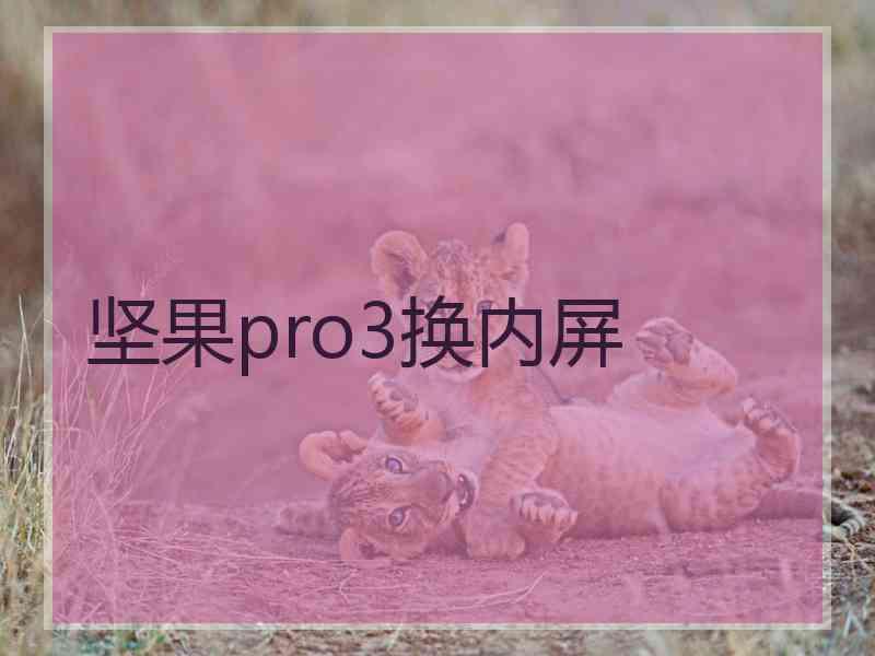 坚果pro3换内屏