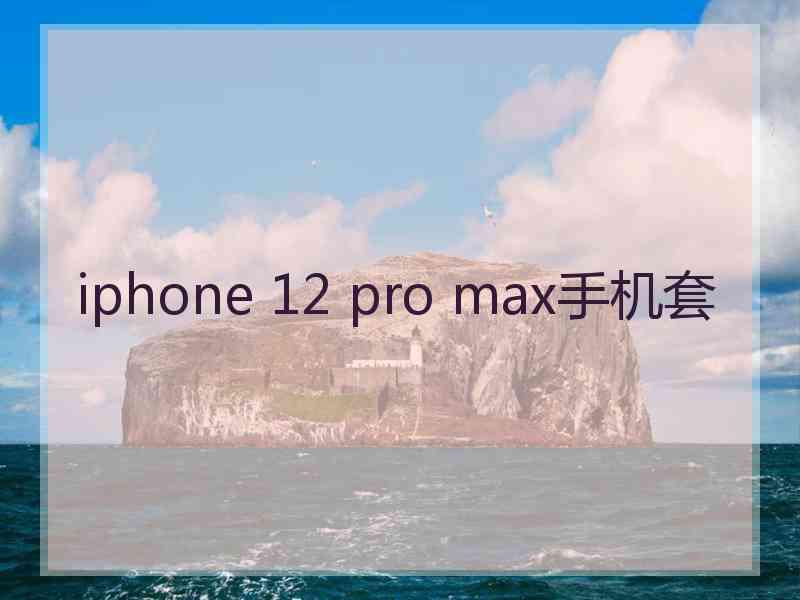 iphone 12 pro max手机套