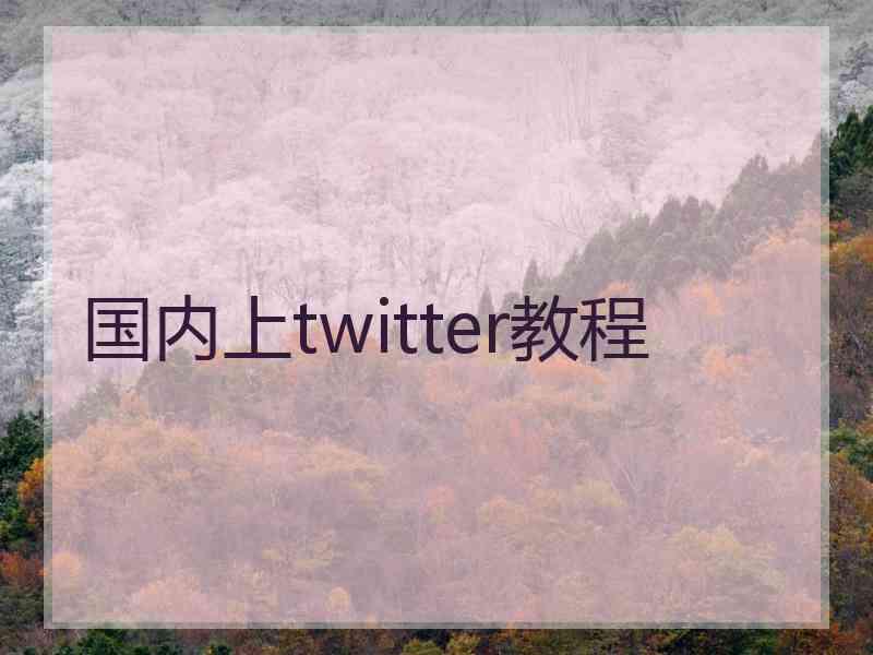 国内上twitter教程