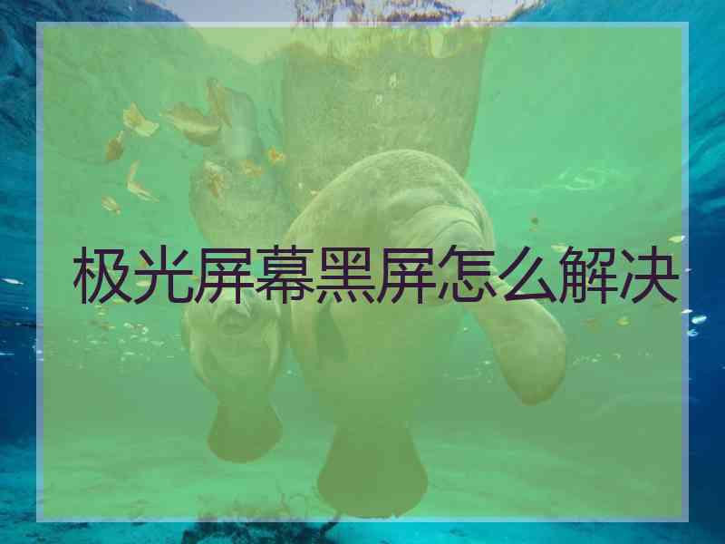 极光屏幕黑屏怎么解决