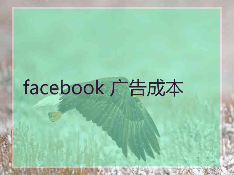 facebook 广告成本