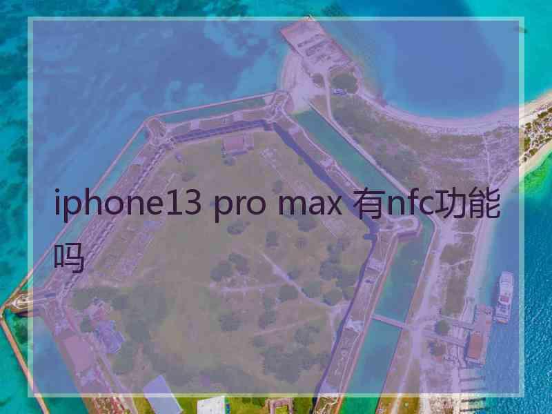 iphone13 pro max 有nfc功能吗