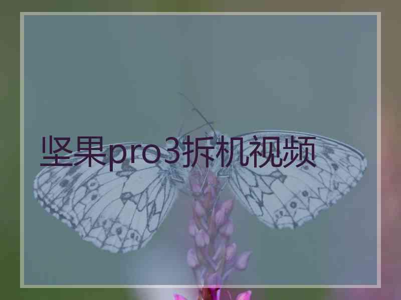 坚果pro3拆机视频