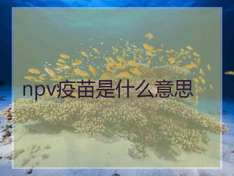 npv疫苗是什么意思