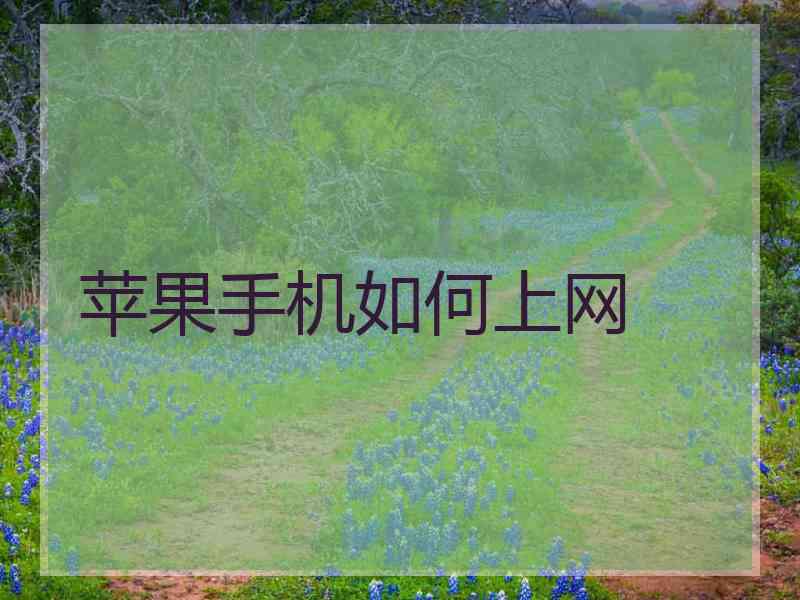 苹果手机如何上网