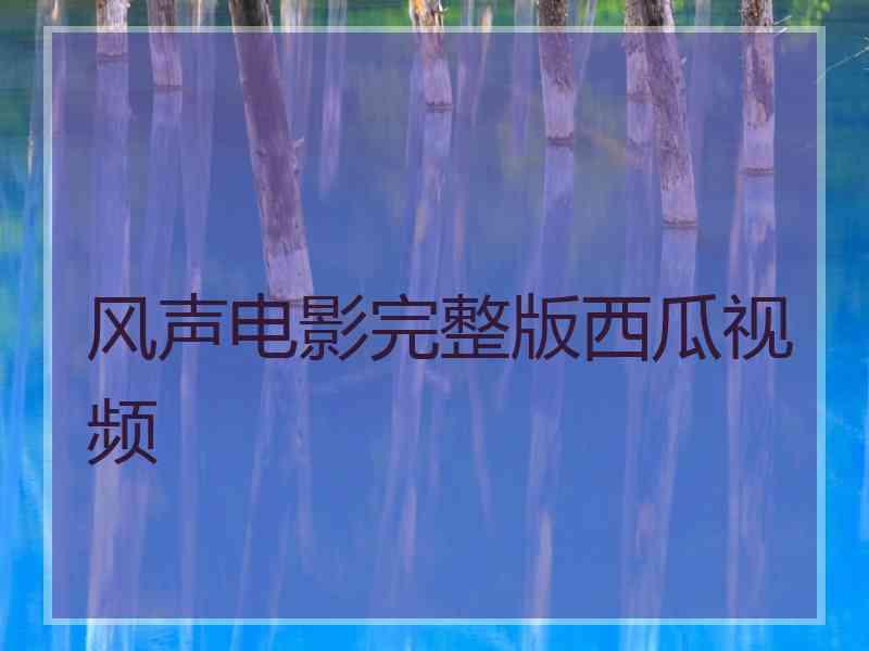 风声电影完整版西瓜视频