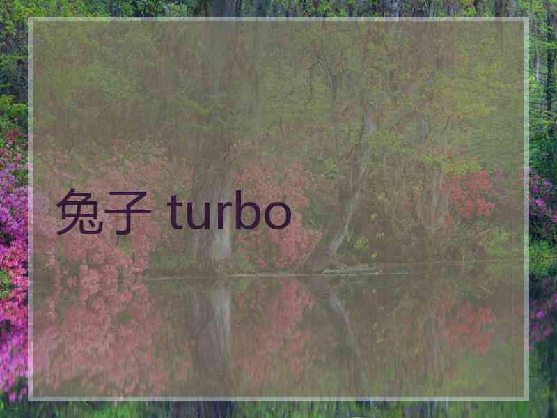 兔子 turbo