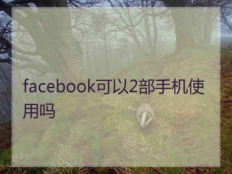 facebook可以2部手机使用吗