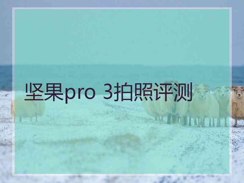 坚果pro 3拍照评测