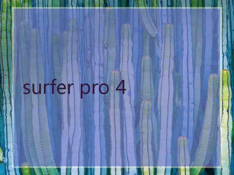 surfer pro 4