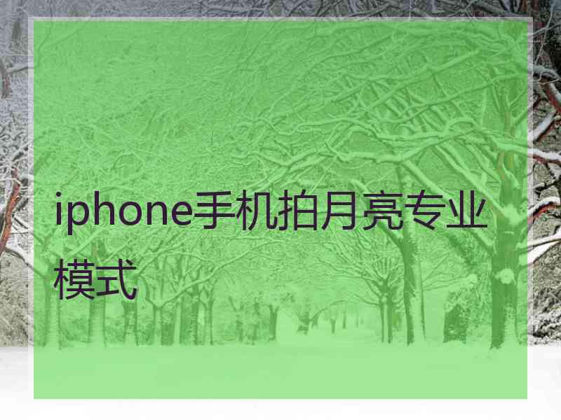 iphone手机拍月亮专业模式