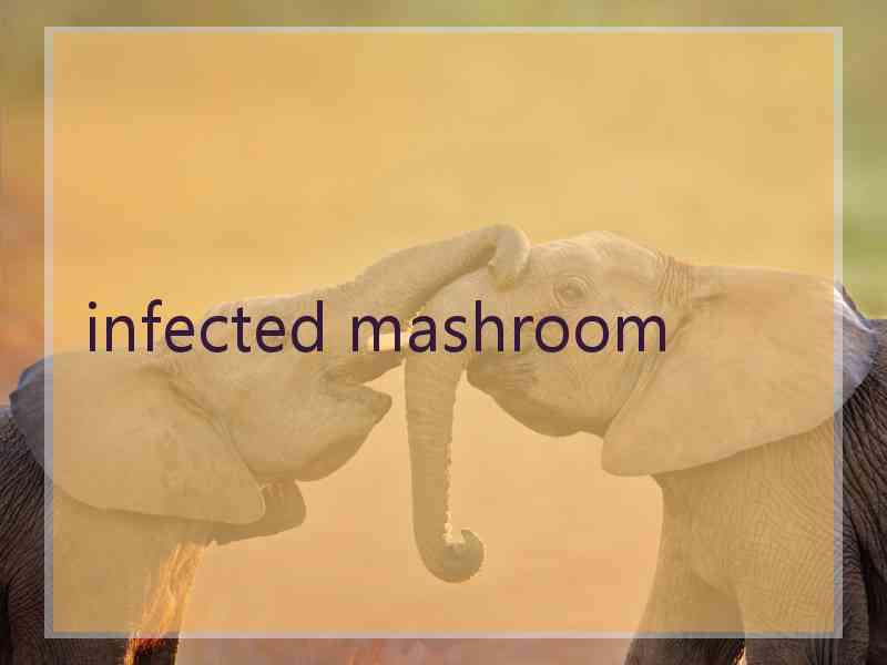 infected mashroom