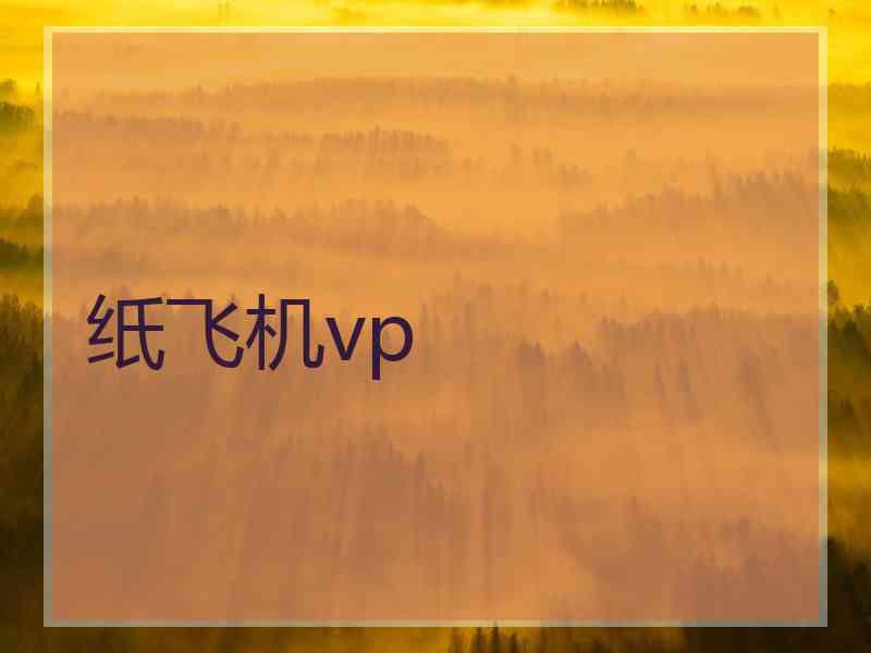 纸飞机vp