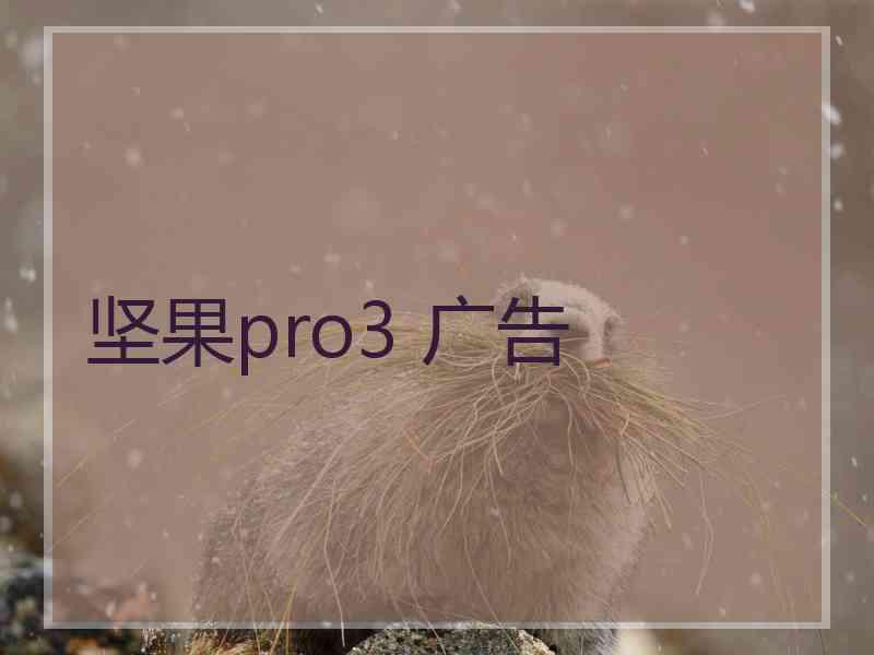 坚果pro3 广告