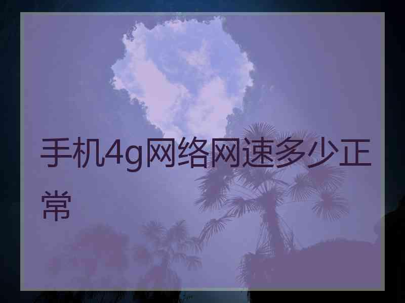 手机4g网络网速多少正常