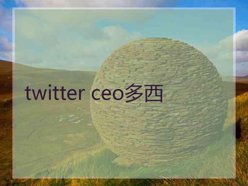 twitter ceo多西