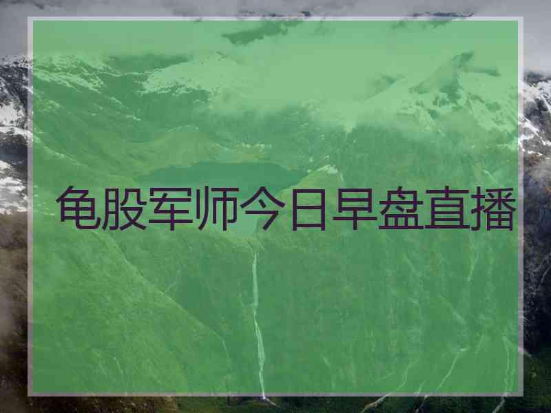 龟股军师今日早盘直播