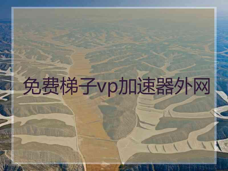 免费梯子vp加速器外网