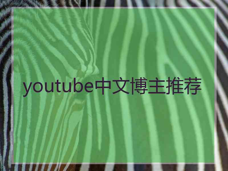 youtube中文博主推荐