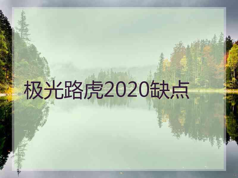 极光路虎2020缺点