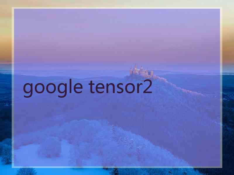 google tensor2