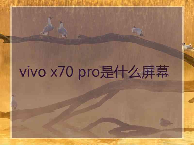 vivo x70 pro是什么屏幕