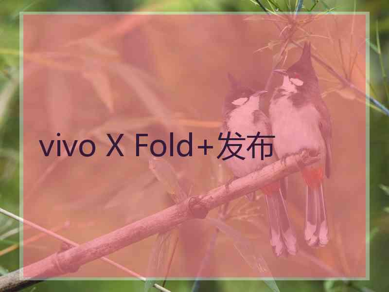 vivo X Fold+发布