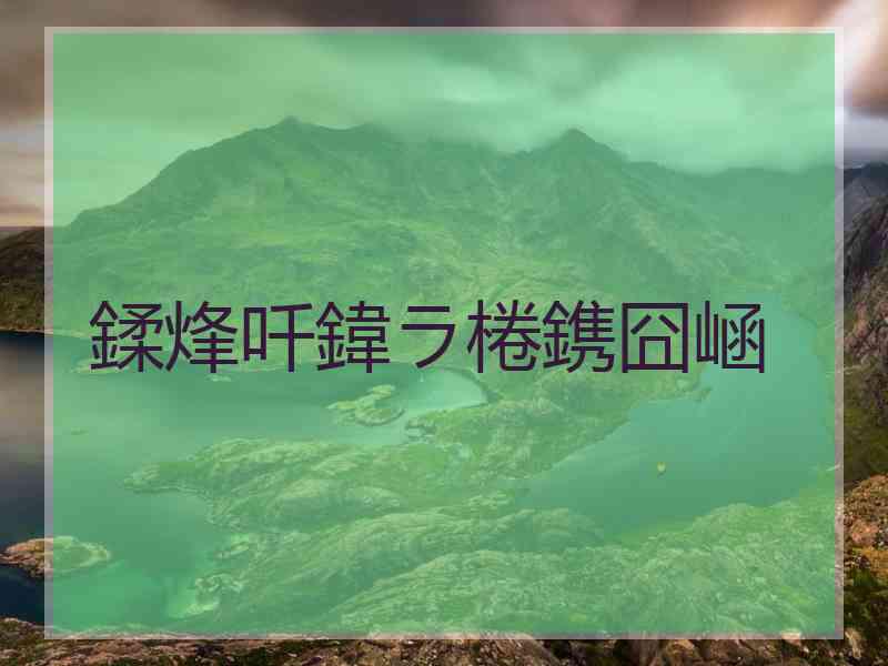 鍒烽吀鍏ラ棬鎸囧崡