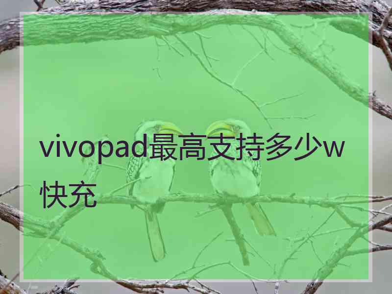 vivopad最高支持多少w快充