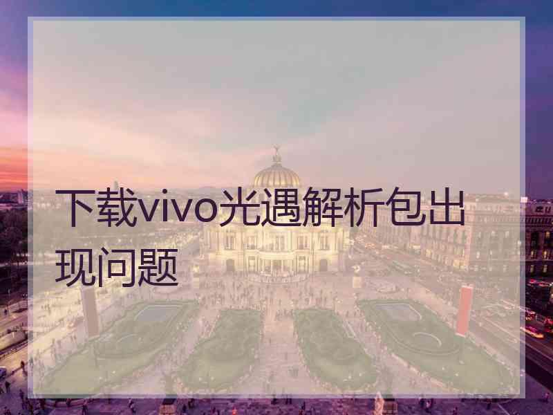 下载vivo光遇解析包出现问题