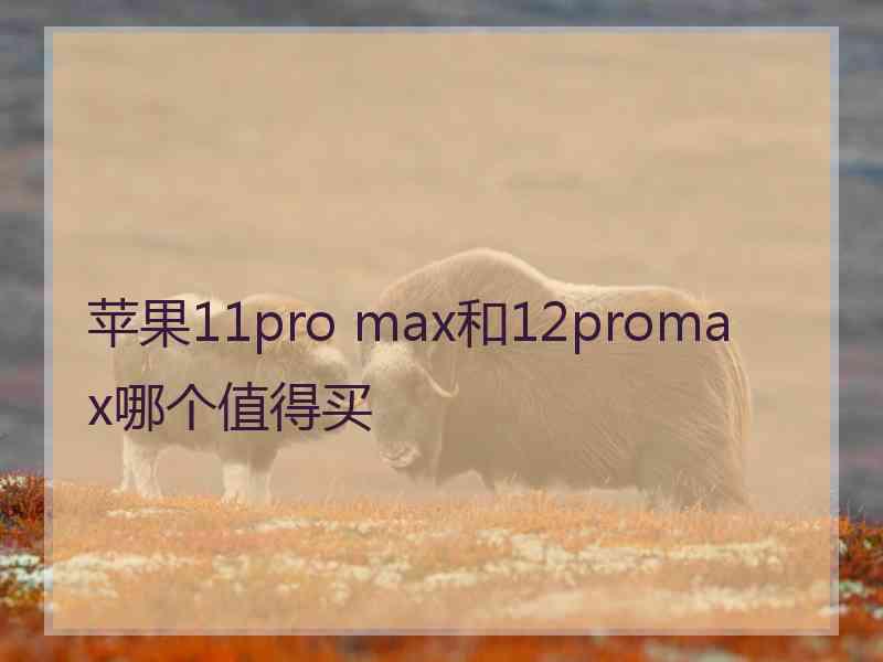 苹果11pro max和12promax哪个值得买