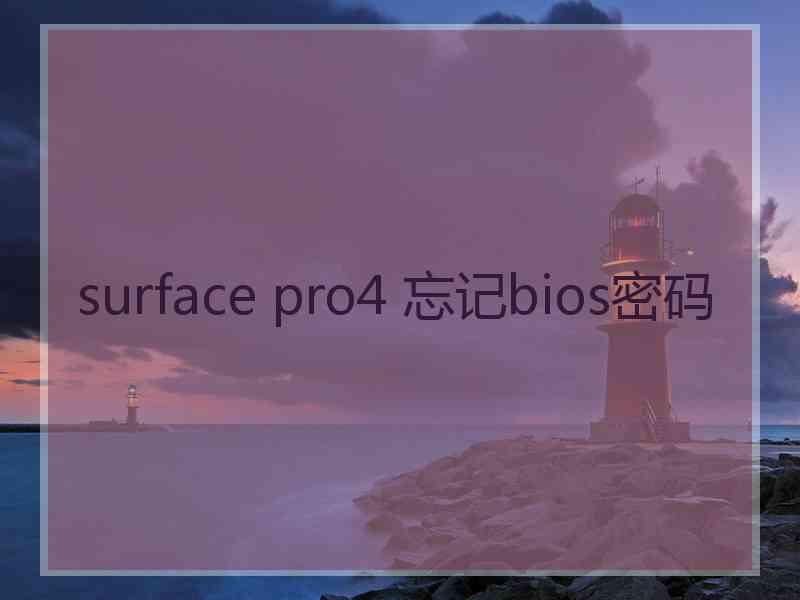 surface pro4 忘记bios密码