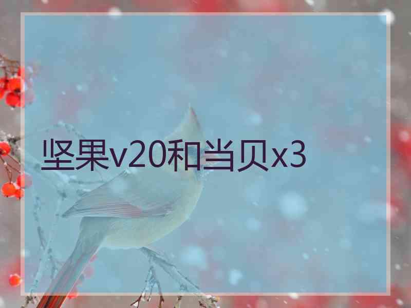 坚果v20和当贝x3