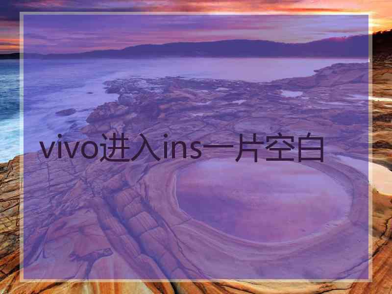 vivo进入ins一片空白