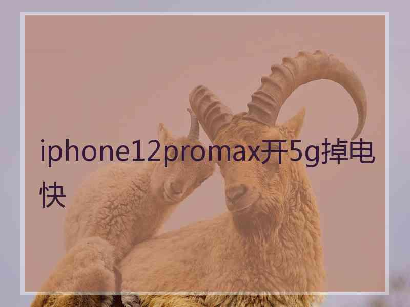 iphone12promax开5g掉电快