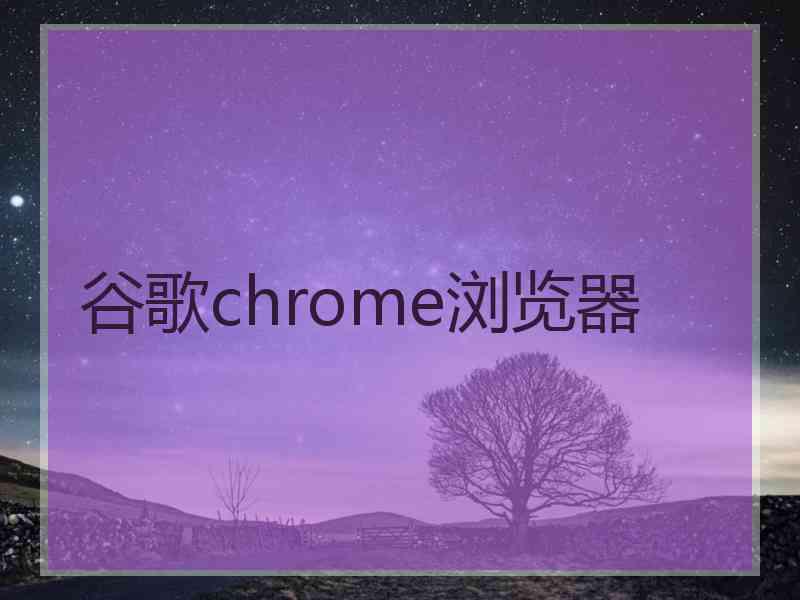 谷歌chrome浏览器